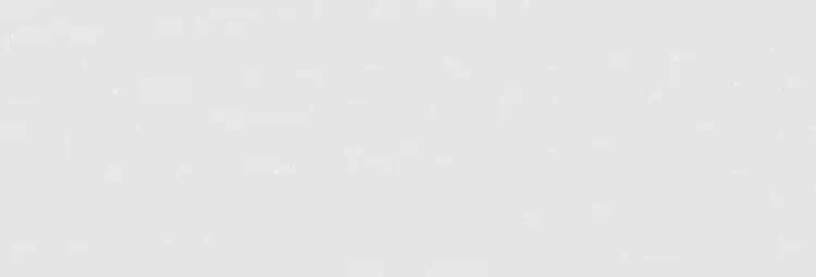 Kolor drzwi dębowych RAL 9016 biały