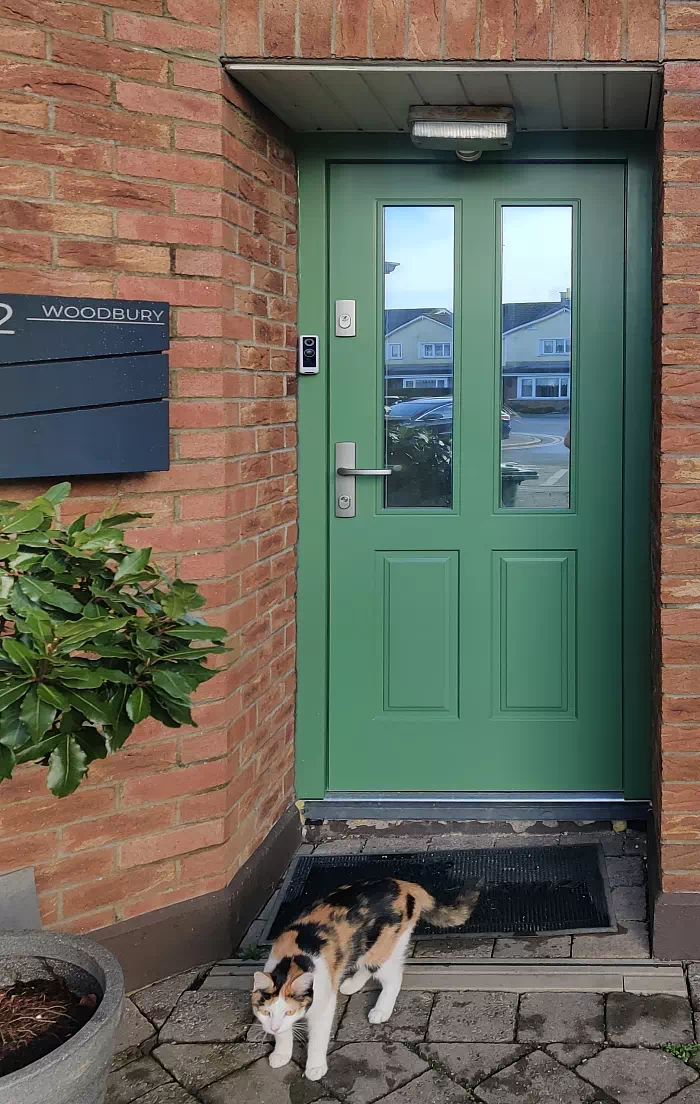 Widok elewacji domu z zamontowanymi drzwiami wzór 534,9b wymalowanymi w kolorze zielone.