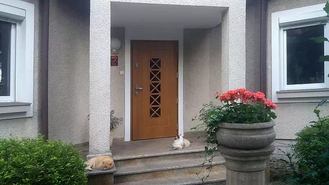 Widok elewacji domu z zamontowanymi drzwiami wzór 546,1 wymalowanymi w kolorze złoty dąb.